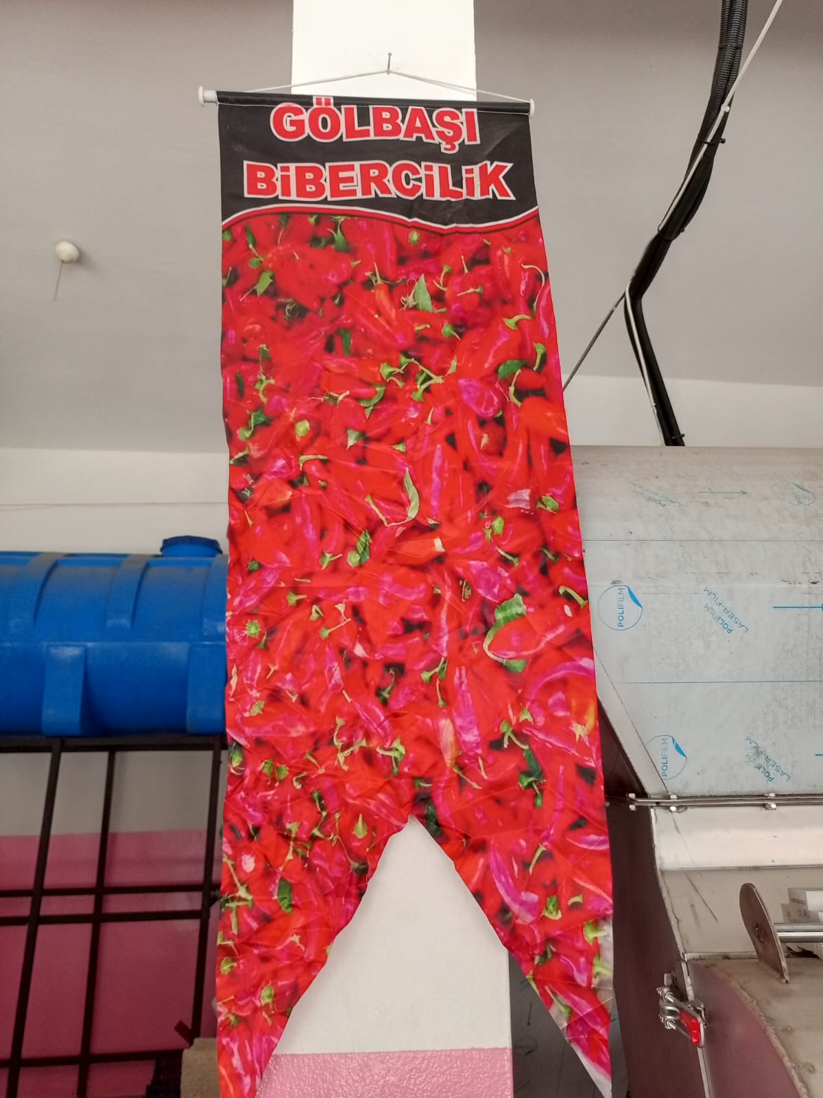 Krom makine ile biber çekimi
